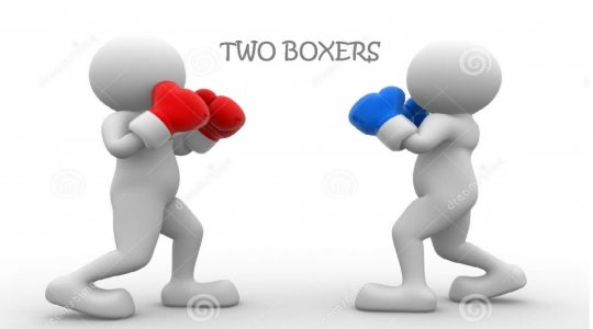 Two Boxers