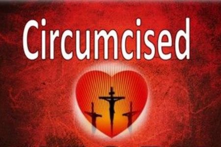 Circumcision Explored