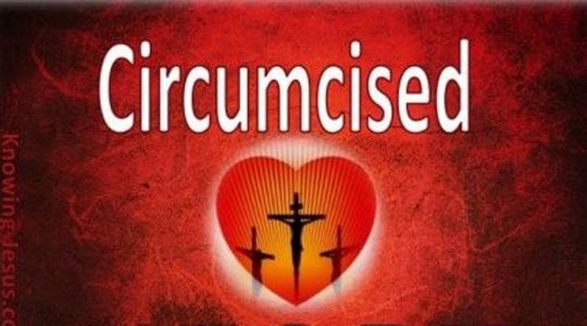 Circumcision Explored