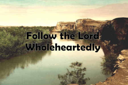 Follow the Lord Wholeheartedly