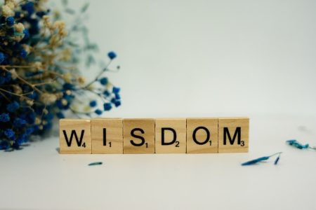 Wisdom to Insight