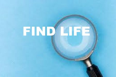 Find Life