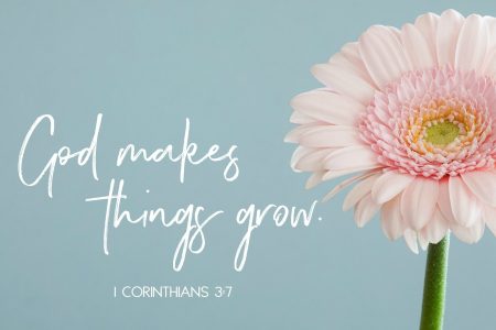 God Makes Things Grow