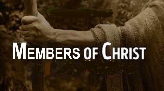 Members of Christ