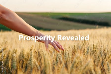 Prosperity Revealed