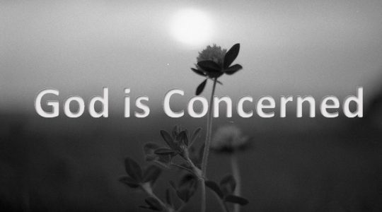 God is Concerned