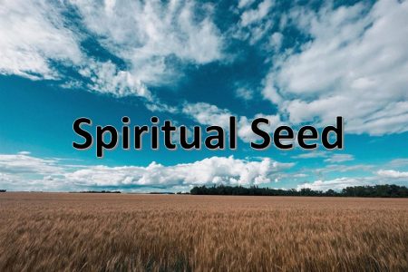Spiritual Seed