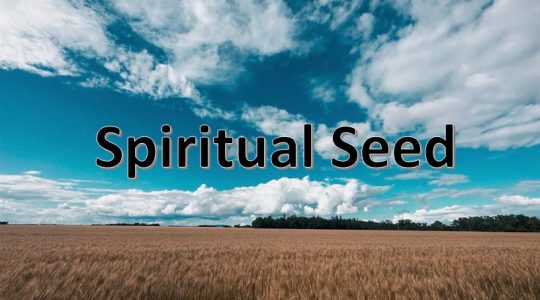 Spiritual Seed