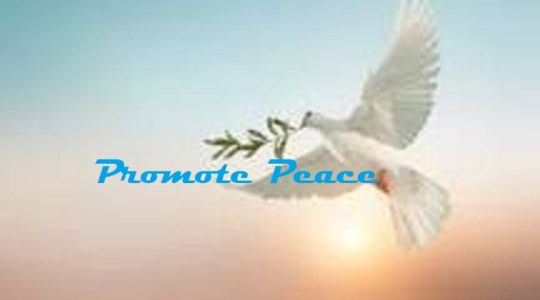 Promote Peace