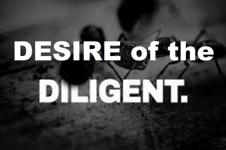 Desire of the Diligent