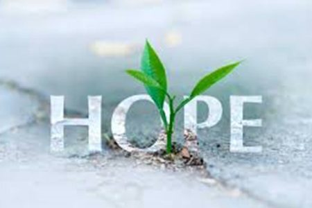 ...><(((‘>  * Hope *  <’)))><...