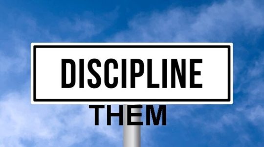 Discipline Them