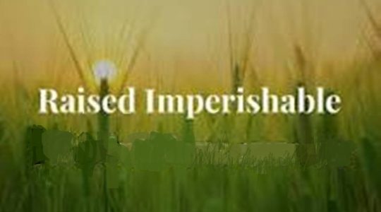 Raised Imperishable