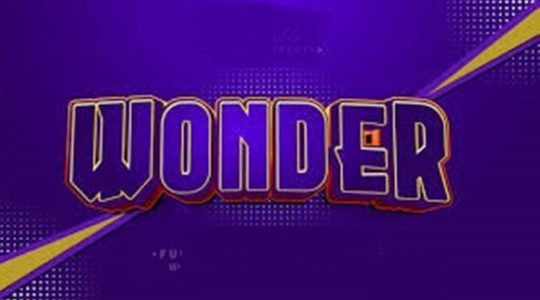  ...><(((‘>  *Wonder*  <’)))><...  