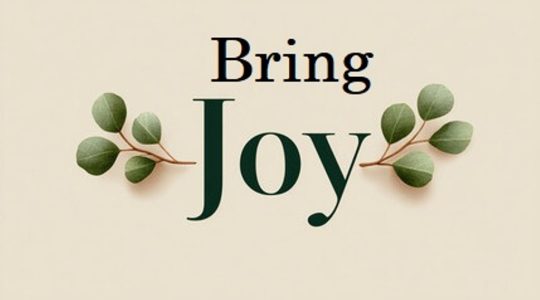 Bring Joy
