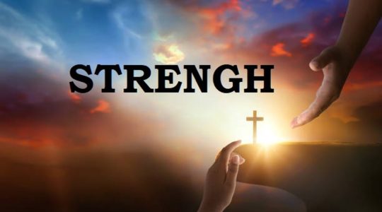  ...><(((‘>  *Strength*  <’)))><...   