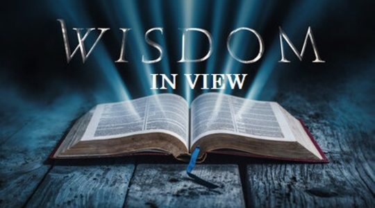 Wisdom in View