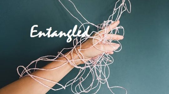  ...><(((‘>  *Entangled*  <’)))><...    