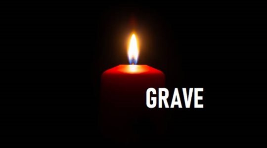 ...><(((‘>  *Grave*  <’)))><...    