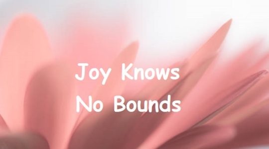Joy Knows no Bounds