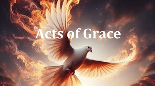 Acts of Grace
