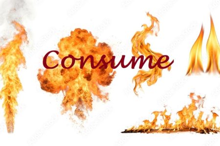  ...><(((‘>  *Consume*  <’)))><...    