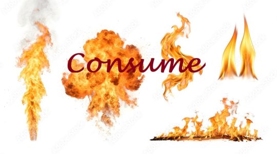  ...><(((‘>  *Consume*  <’)))><...    