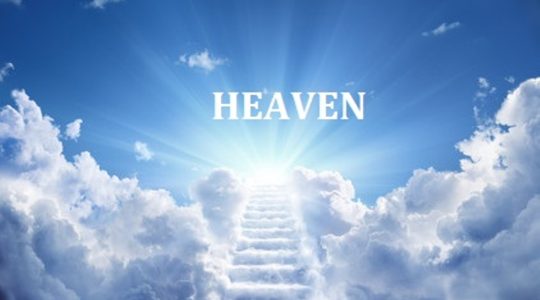  ...><(((‘>  *Heaven*  <’)))><...    