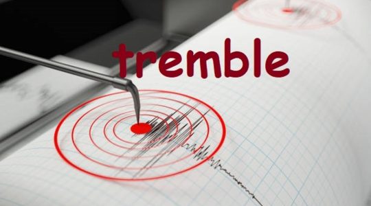  ...><(((‘>  *Tremble*  <’)))><...    