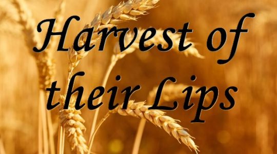 Harvest of their Lips