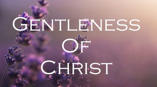 Gentleness of Christ