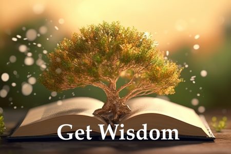 Get Wisdom