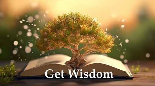 Get Wisdom