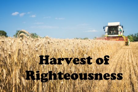 Harvest of Righteousness