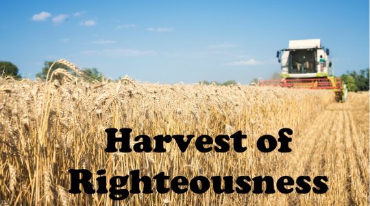 Harvest of Righteousness