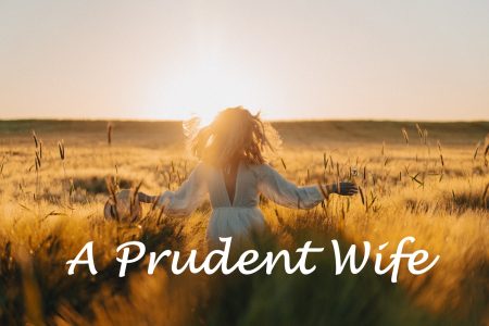 A Prudent Wife