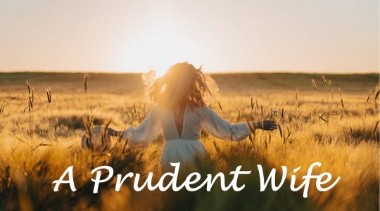 A Prudent Wife